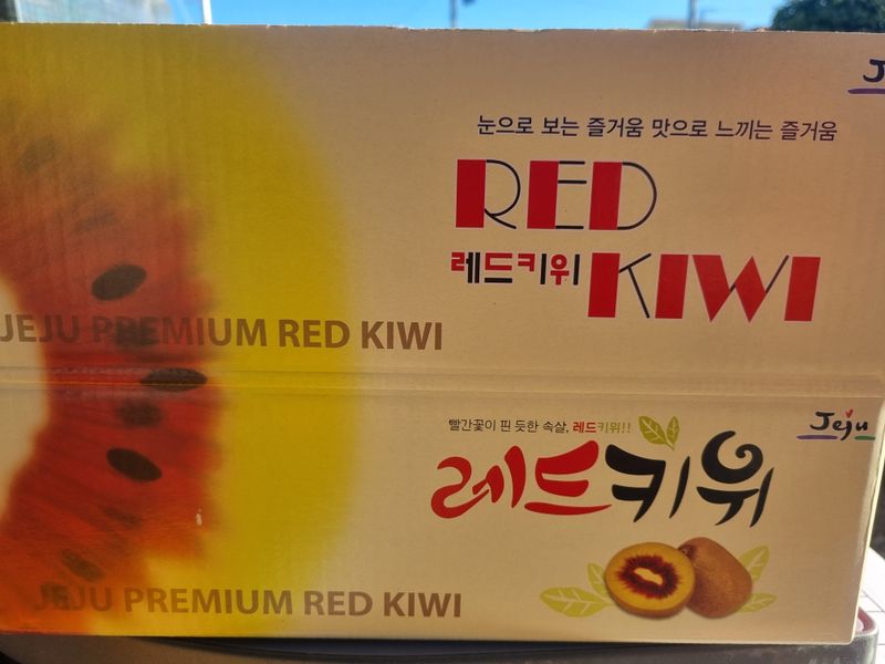 장터 상품 [레드키위 3kg(24과수내외)37,000] 썸네일