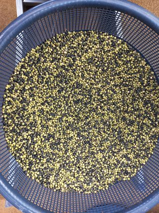 척야산농장(최연봉)님의 작성글 사진