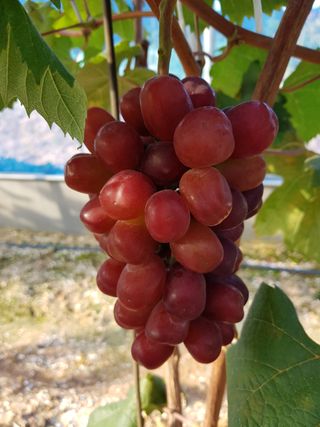 도기백님의 작성글 사진
