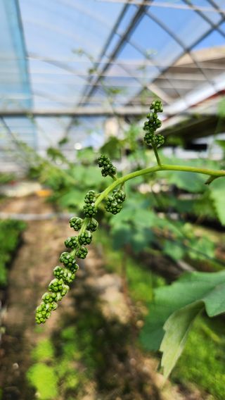 도기백님의 작성글 사진