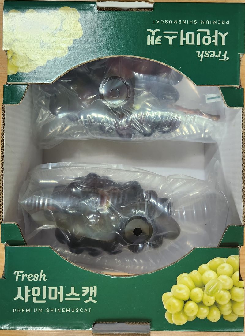 도기백님의 장터 판매 상품 [포도 레드샤인(낭만홍옌) 2kg] 첨부 사진