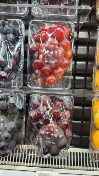 도기백님의 작성글 사진