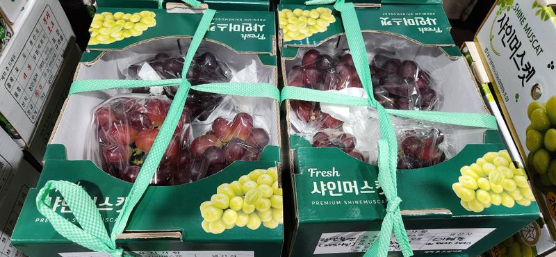 도기백님의 장터 판매 상품 [포도 레드샤인(낭만홍옌) 2kg] 첨부 사진