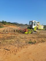 팜모닝 콩·자유게시판 게시글 이미지