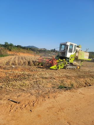 남편이농부님의 콩 · 자유게시판 작성글 사진