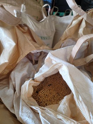 남편이농부님의 콩 · 자유게시판 작성글 사진