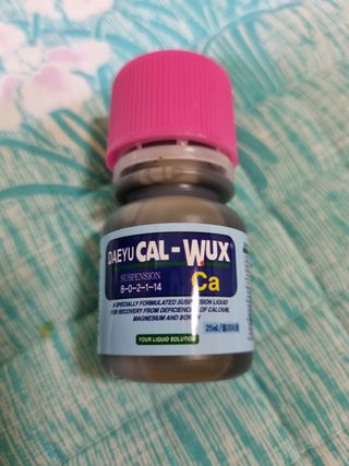 정금석님의 배추 · 일상 작성글 사진