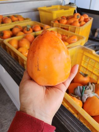 부농이네(이나영)님의 감 · 자유게시판 작성글 사진