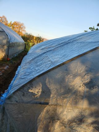 Preotu님의 기타작물 · 자유게시판 작성글 사진