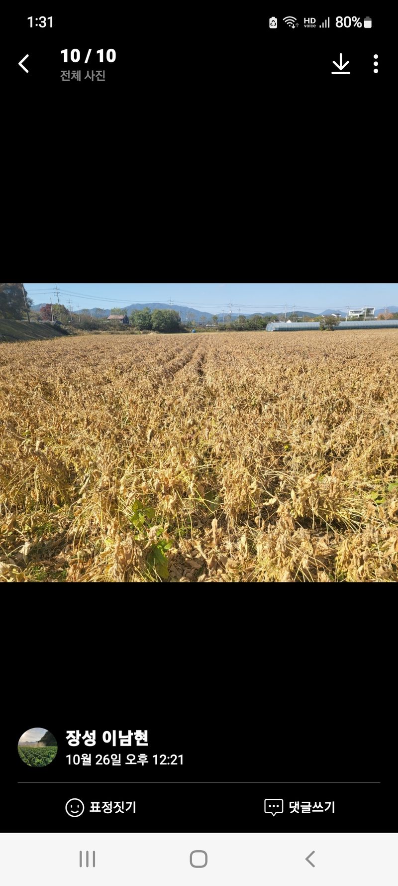 차재경님의 장터 판매 상품 [메주 ㆍ두부용 햇콩 15kg 대 95,000원 7.5k 대 50,000원] 첨부 사진