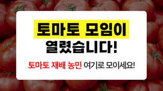 팜모닝님의 토마토 · 일상 작성글 사진