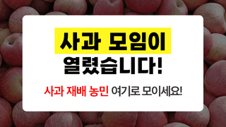 팜모닝님의 사과 · 일상 작성글 사진