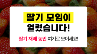 팜모닝님의 딸기 · 일상 작성글 사진
