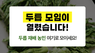 팜모닝님의 두릅 · 일상 작성글 사진