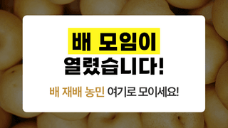 팜모닝님의 배 · 일상 작성글 사진