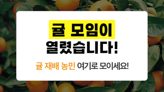 팜모닝님의 귤 · 일상 작성글 사진