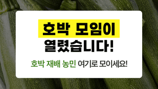 팜모닝님의 호박 · 자유게시판 작성글 사진