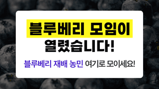 팜모닝님의 블루베리 · 자유게시판 작성글 사진