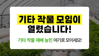 팜모닝님의 기타작물 · 자유게시판 작성글 사진