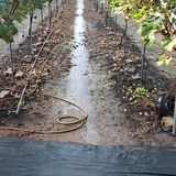 팜모닝 기타작물·자유게시판 게시글 이미지