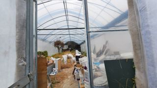 은혜다육님의 기타작물 · 자유게시판 작성글 사진