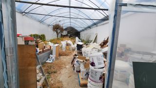 은혜다육님의 기타작물 · 자유게시판 작성글 사진