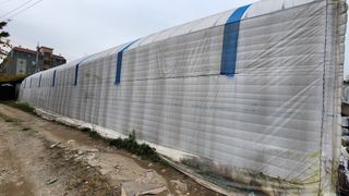 은혜다육님의 기타작물 · 자유게시판 작성글 사진