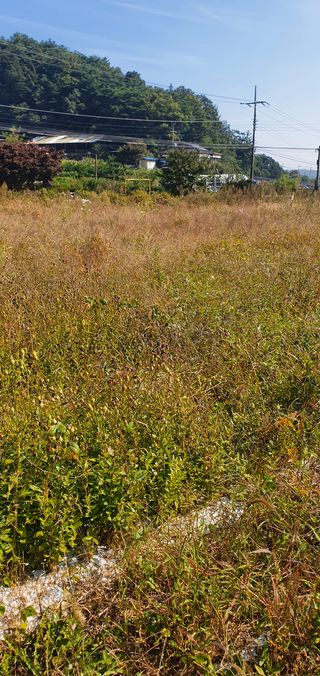 임오빈님의 작성글 사진