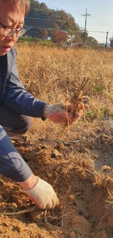 팜모닝 · 게시글 이미지