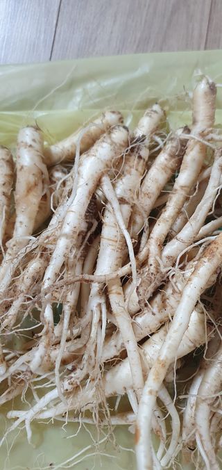 임오빈님의 작성글 사진