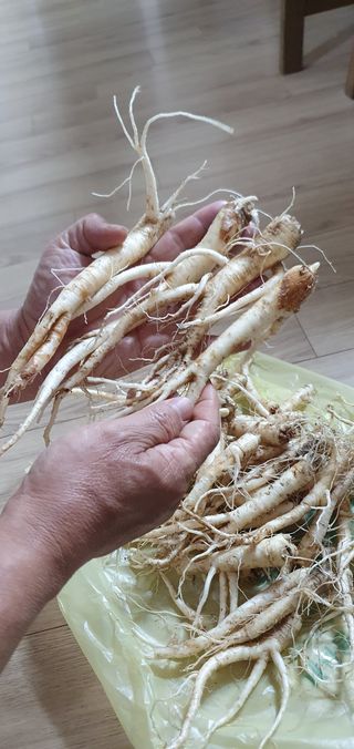 임오빈님의 작성글 사진