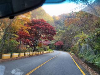 지리산자락인광사과농님의 사과 · 일상 작성글 사진