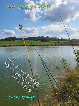 김주용님의 기타작물 · 자유게시판 작성글 사진