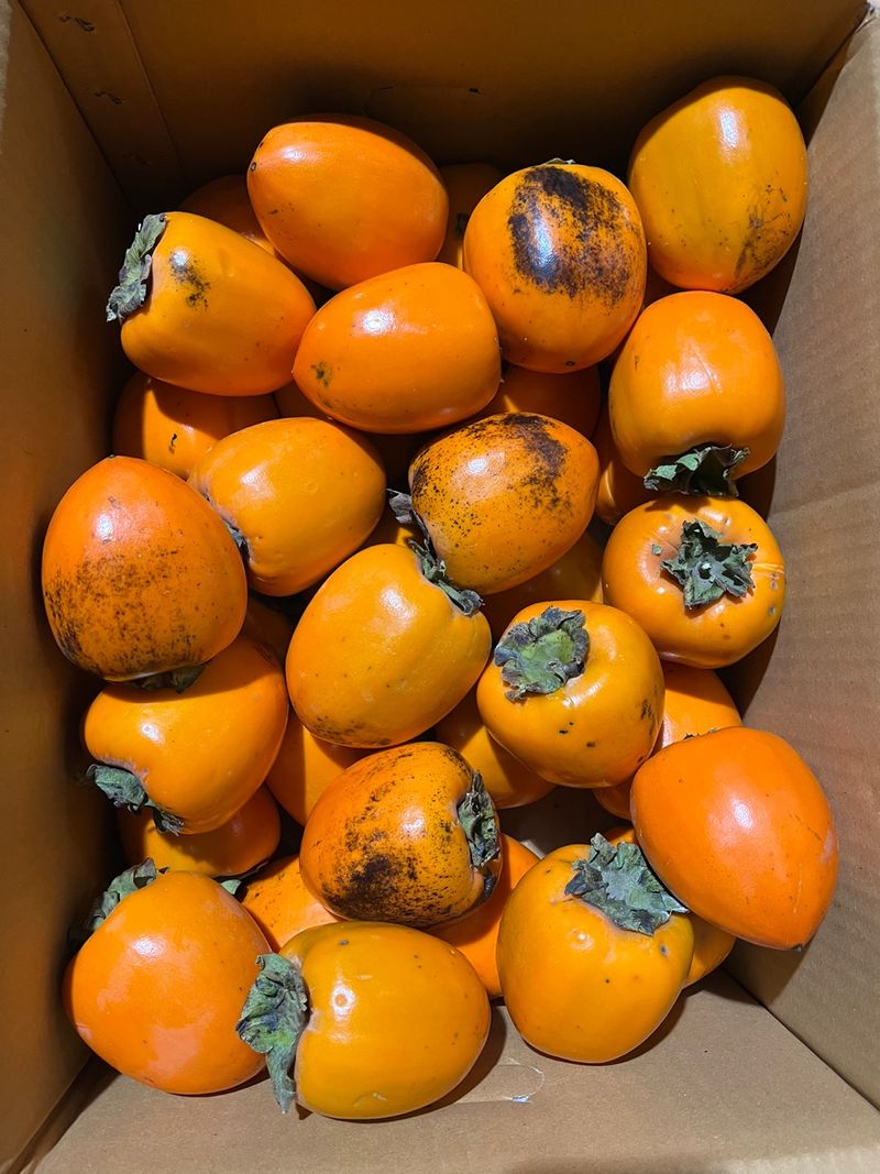 빨강농장님의 장터 판매 상품 [대봉감(홍시용) 10kg 1상자] 첨부 사진