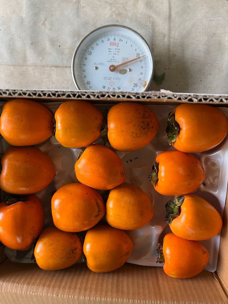 장터 상품 [대봉감(홍시용) 10kg 1상자] 썸네일