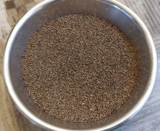 알 수 없음님의 들깨 · 자유게시판 작성글 사진