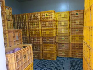 알 수 없음님의 사과 · 일상 작성글 사진