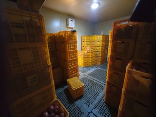 알 수 없음님의 사과 · 일상 작성글 사진