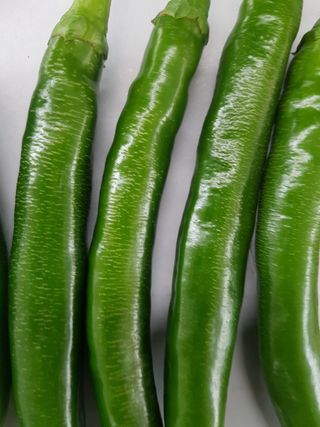 범님의 고추 · 병해충상담 작성글 사진