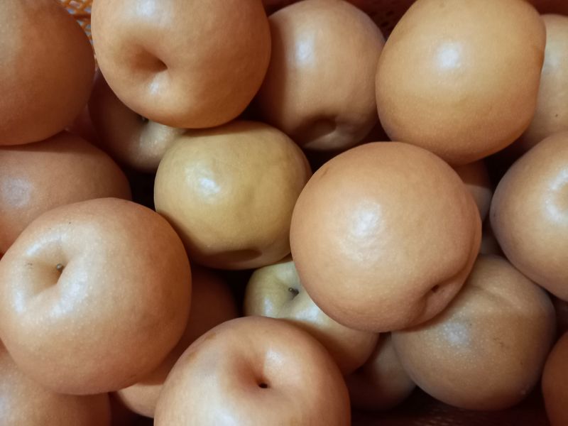 장터 상품 [신고 배 25000원] 썸네일