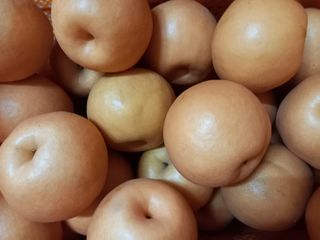 만석농원직판장화이팅님의 작성글 사진