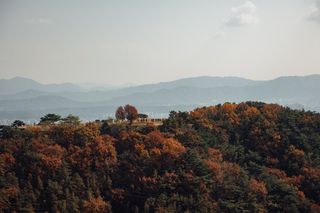 윤정욱님의 고추 · 일상 작성글 사진