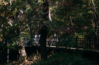 달맞이농부님의 오이 · 자유게시판 작성글 사진