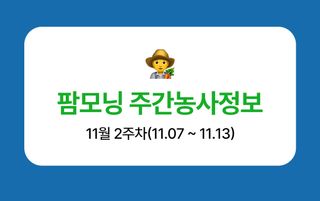 팜모닝 농사도우미님의 기타작물 · 농사길잡이 작성글 사진