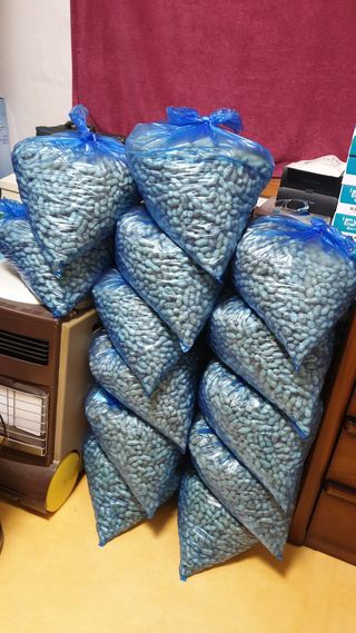 황규복(달구지)님의 들깨 · 자유게시판 작성글 사진