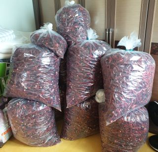 황규복(달구지)님의 들깨 · 자유게시판 작성글 사진