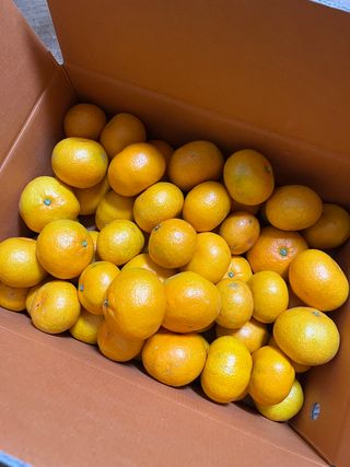 홍키통키님의 귤 · 일상 작성글 사진