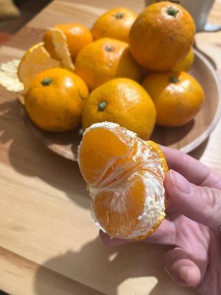 홍키통키님의 귤 · 일상 작성글 사진