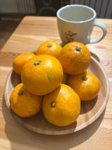 팜모닝 귤·일상 게시글 이미지