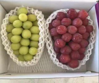 도기백님의 포도 · 자유게시판 작성글 사진